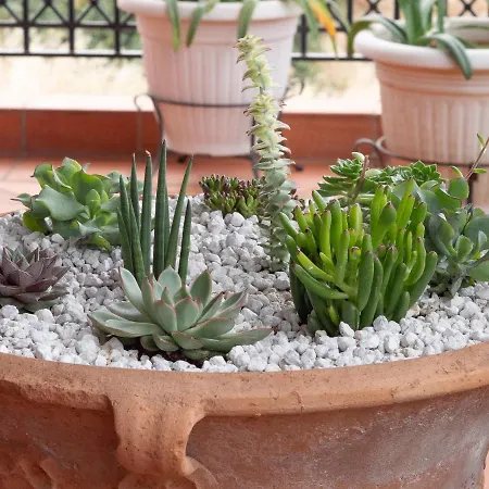 וילה Greco הרסוניסוס