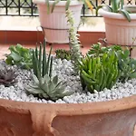 Villa Greco Hersonissos (Crete)